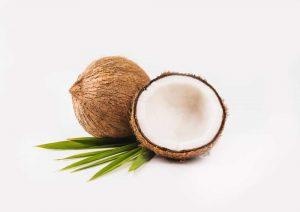 PSB308-coconut